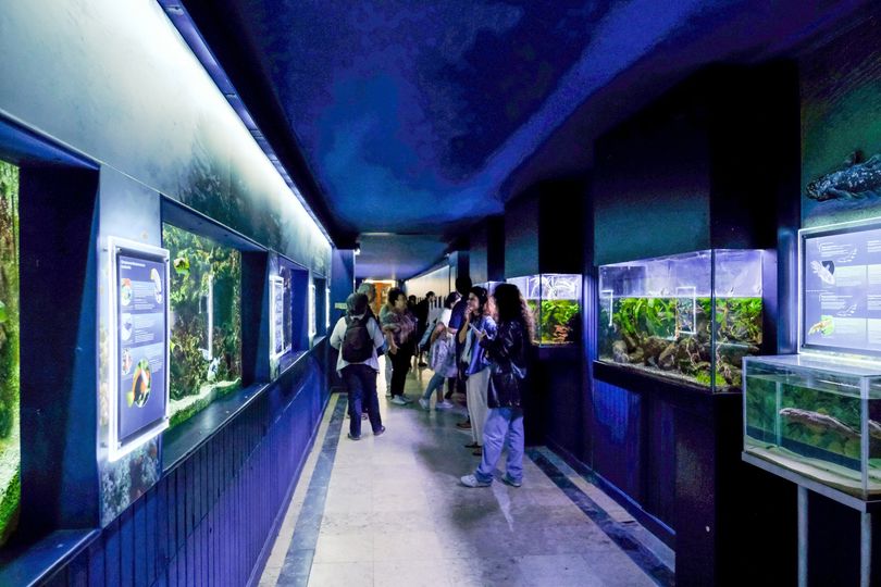 Aquário Vasco da Gama_Museu aquático mais antigo do Mundo