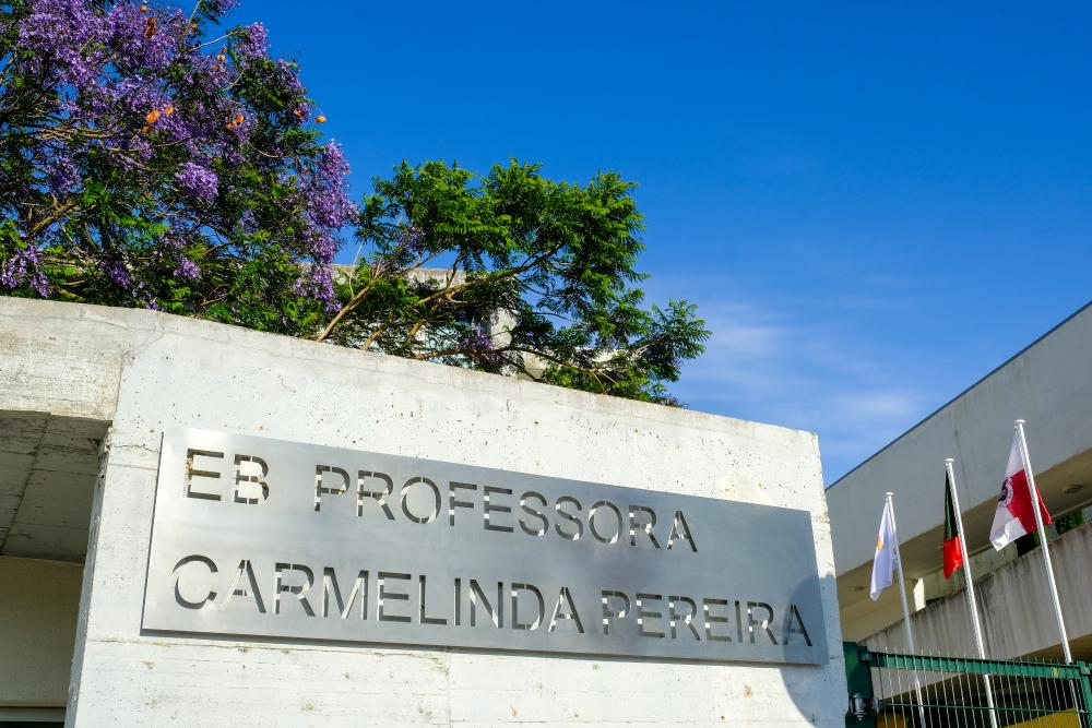 Carmelinda Pereira 5.jpg