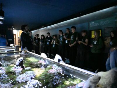 JRA missão DSC_Aquario.jpg