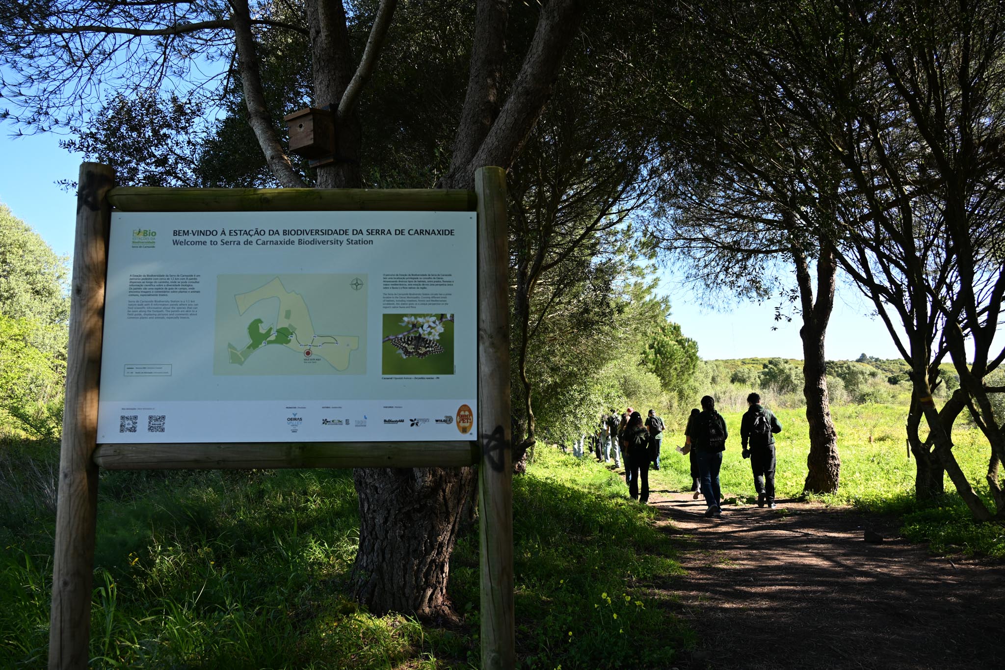 JRA missão DSC_carnaxide.jpg