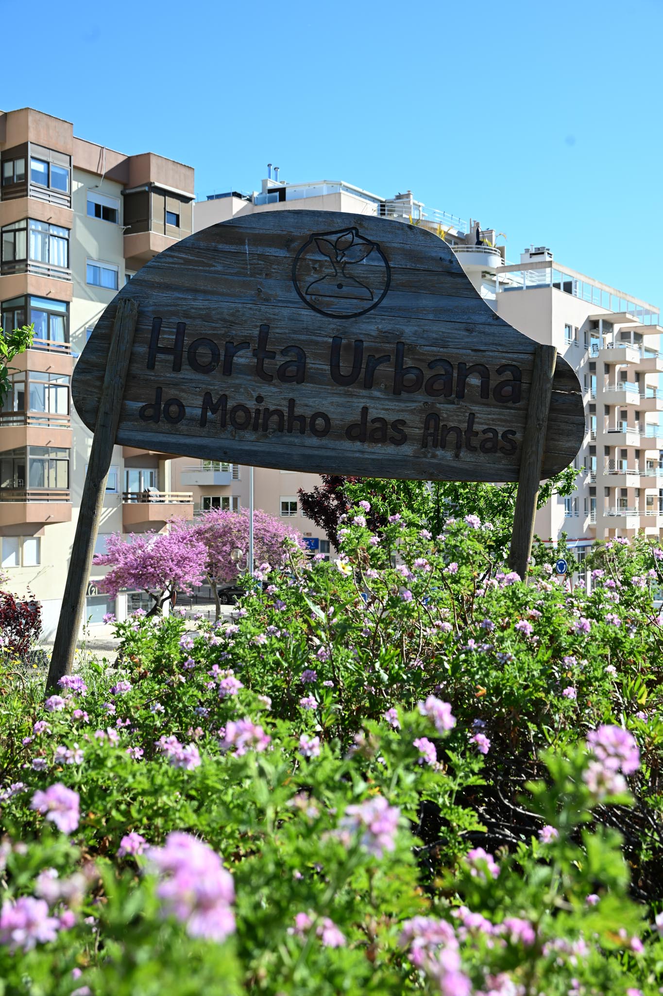 JRA missão DSC_hortas.jpg