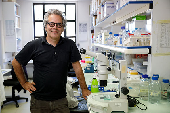 Miguel Soares, investigador principal do Instituto Gulbenkian de Ciência (IGC)
