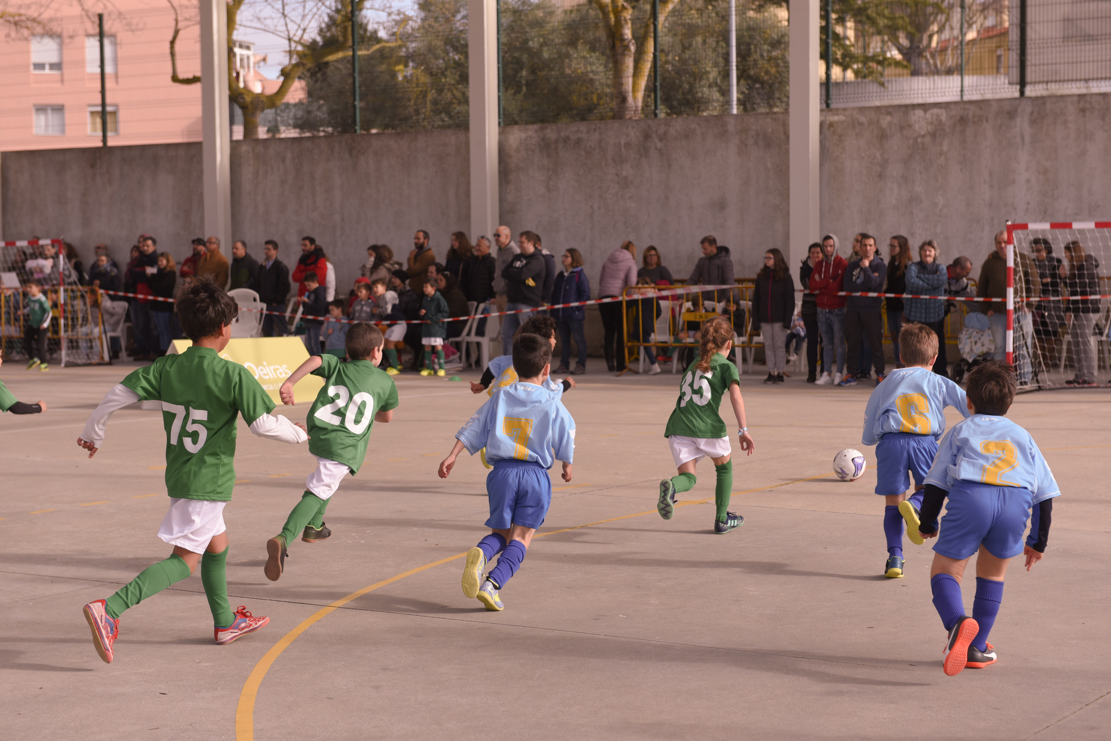 Oeiras atribui apoio financeiro para projeto desportivo 'Leões na tua Escola'