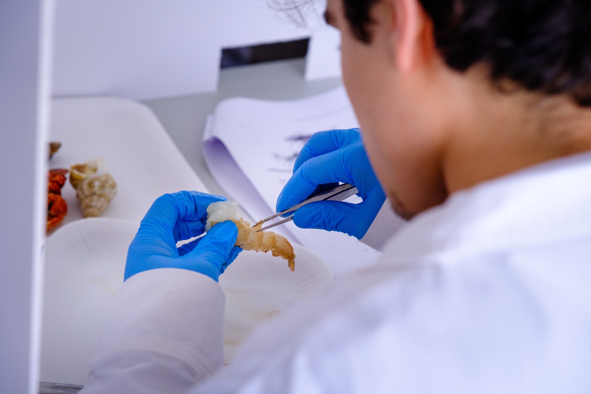 Olimpiadas Biologia7.jpg