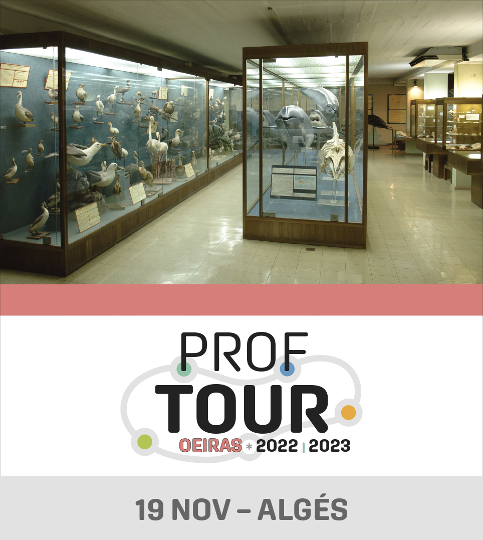 Prof TOUR Oeiras | Próxima visita: Algés – 19 novembro