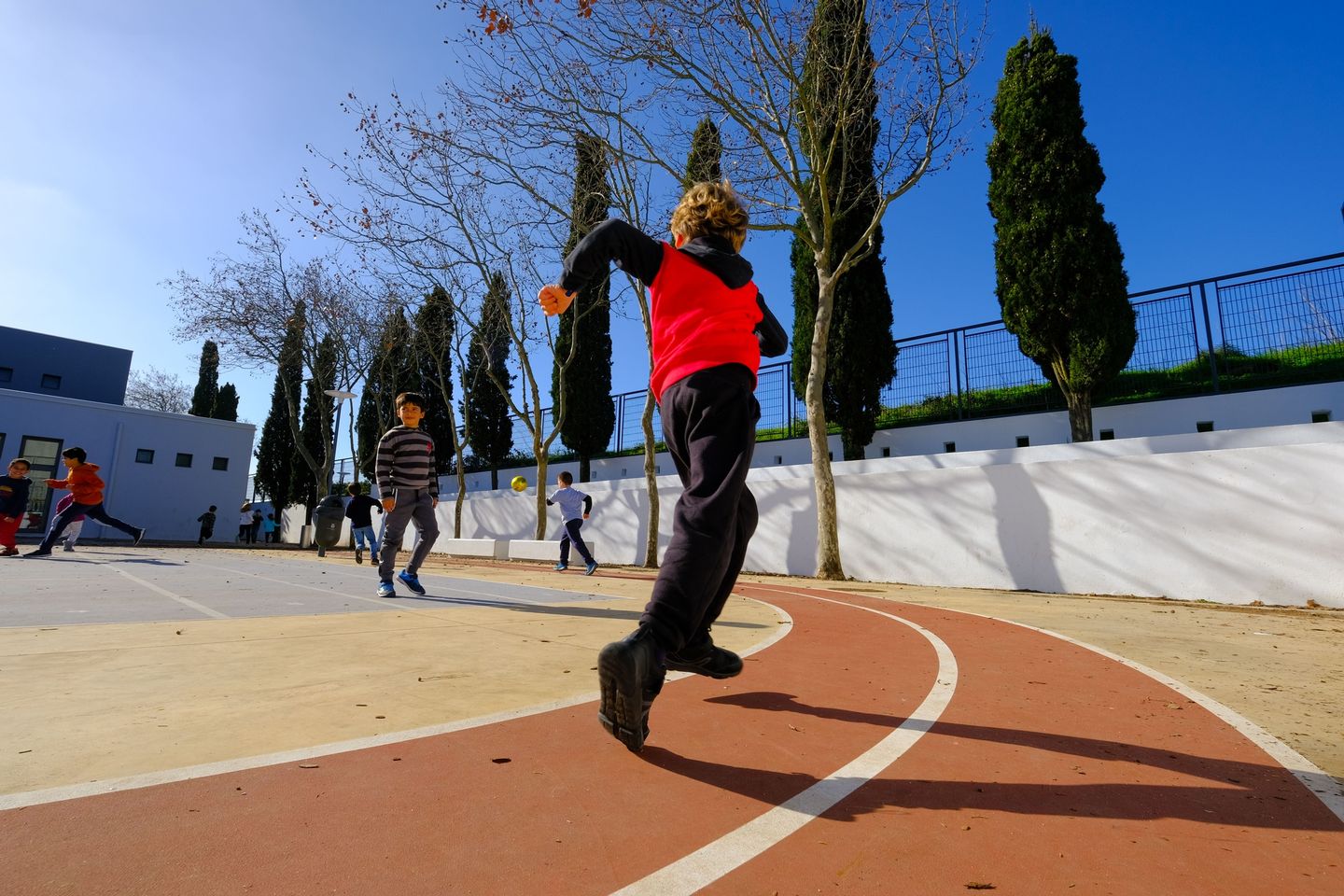 Programa de coadjuvação da Educação Física no 1.º Ciclo