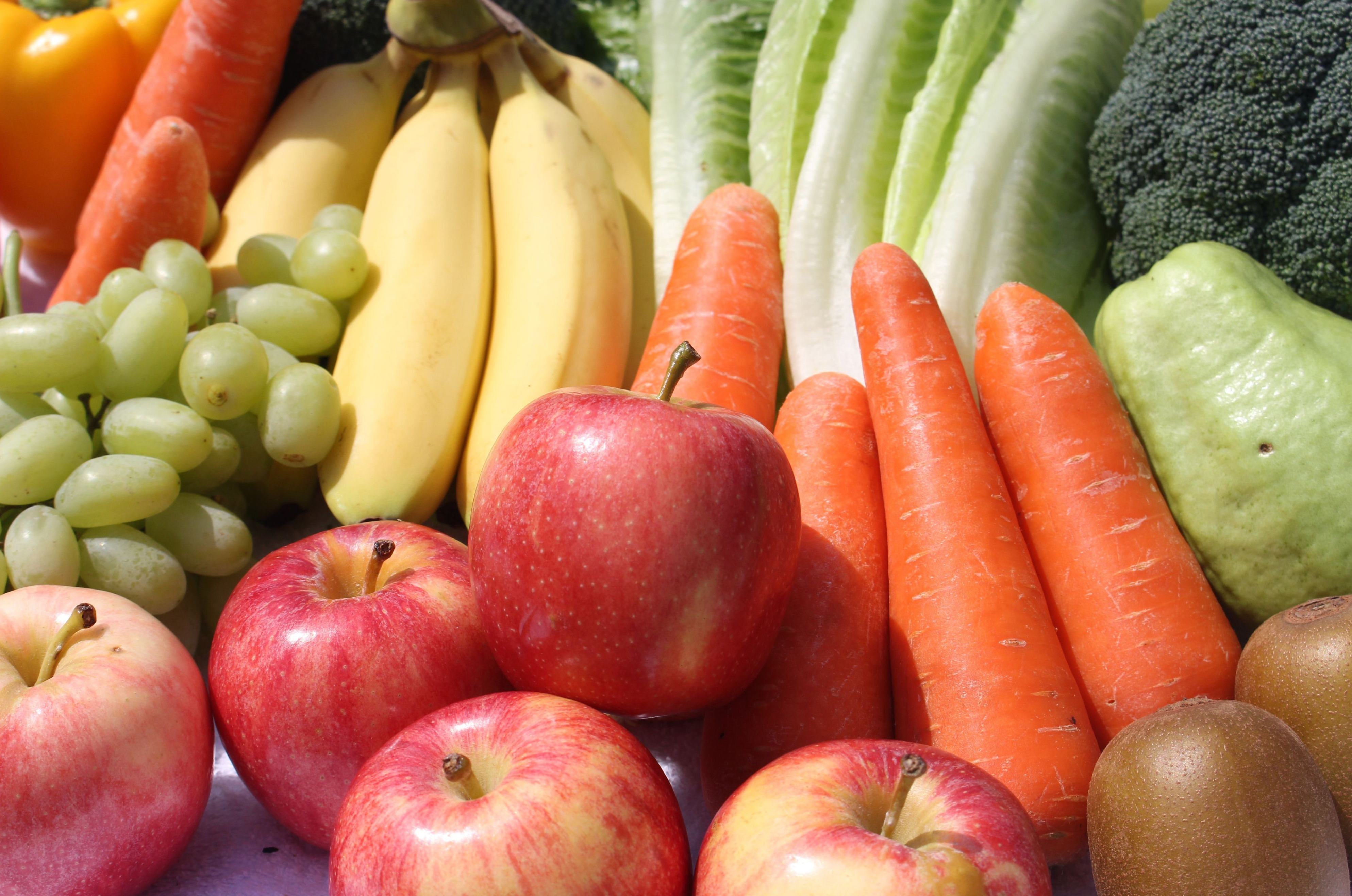 Município de Oeiras distribui gratuitamente fruta e hortícolas nos jardins de infância e escolas do 1.º ciclo