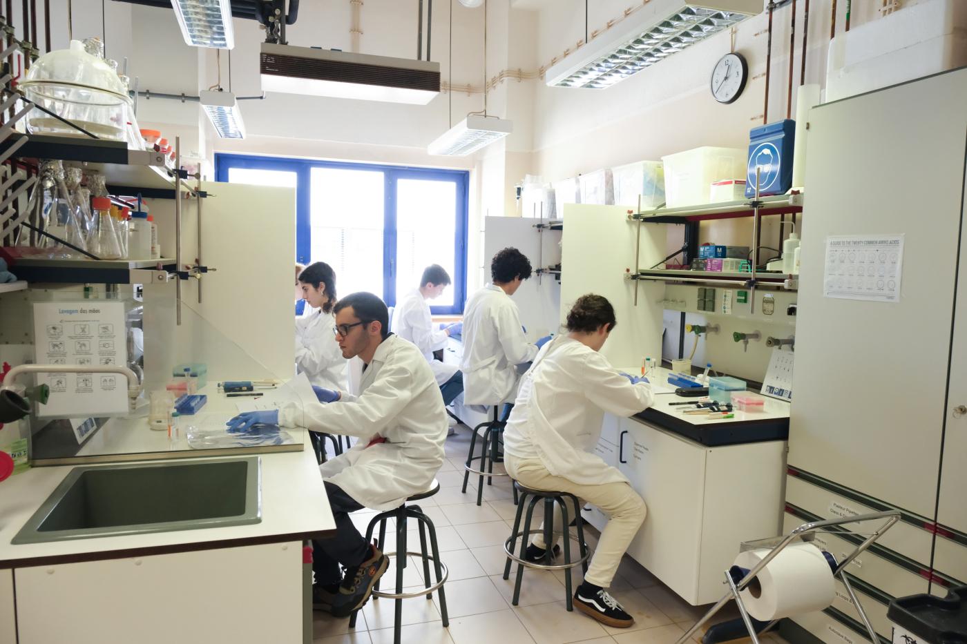 Olimpíadas Biologia3.jpg